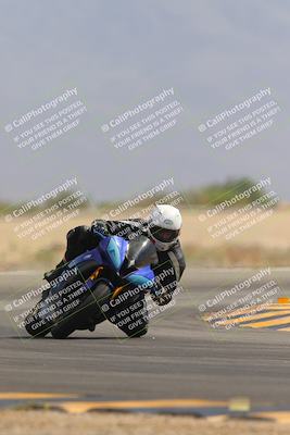 media/Sep-30-2023-SoCal Trackdays (Sat) [[636657bffb]]/Turn 15 (1120am)/